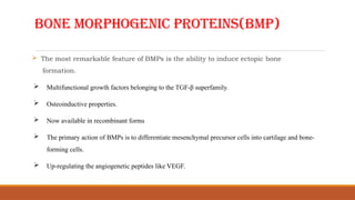 BONE MORPHOGENIC PROTEINS(BMP)
 The most remarkable feature of BMPs is the ability to induce ectopic bone
formation.
 Multifunctional growth factors belonging to the TGF-β superfamily.
 Osteoinductive properties.
 Now available in recombinant forms
 The primary action of BMPs is to differentiate mesenchymal precursor cells into cartilage and bone-
forming cells.
 Up-regulating the angiogenetic peptides like VEGF.
 