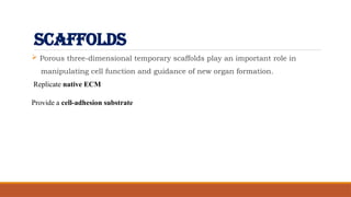 SCAFFOLDS
 Porous three-dimensional temporary scaffolds play an important role in
manipulating cell function and guidance of new organ formation.
Replicate native ECM
Provide a cell-adhesion substrate
 