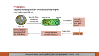 Preparation:
Recombinant expression techniques under highly
controlled conditions.
Mitogenic response in periodontal cells:Wang and Castelli 1996
Specific DNA
sequences
is removed
Transfected
Host cells
capable of
large scale
growth.
rh PDGF BB
Separated
Analytical protein
chemistry techniques
Formulated into
dose specified
for clinical use
Host cell
50
 