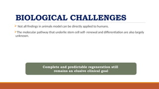 BIOLOGICAL CHALLENGES
 Not all findings in animals model can be directly applied to humans.
The molecular pathway that underlie stem cell self- renewal and differentiation are also largely
unknown.
Complete and predictable regeneration still
remains an elusive clinical goal
 