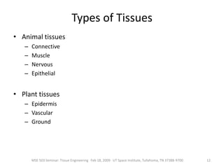 The smallest unit of an organism that is classified as living.