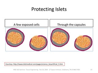 They secrete the amount on insulin, amylin, and glucagon needed in response to sensed glucose. 