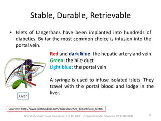 After German pathological anatomist Paul Langerhans in 1869.21MSE 503 Seminar: Tissue Engineering   Feb 18, 2009   UT Space Institute, Tullahoma, TN 37388-9700