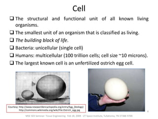  Stem cells
