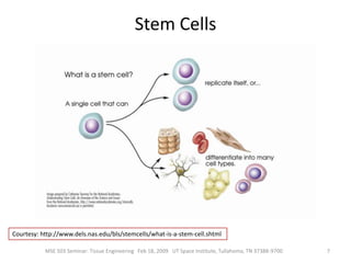 Bioartificial Pancreas2MSE 503 Seminar: Tissue Engineering   Feb 18, 2009   UT Space Institute, Tullahoma, TN 37388-9700