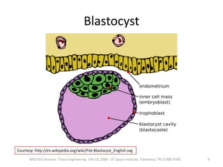 The use of a combination of cells, engineering and materials methods, and suitable biochemical and physico-chemical factors to improve or replace biological functions. 