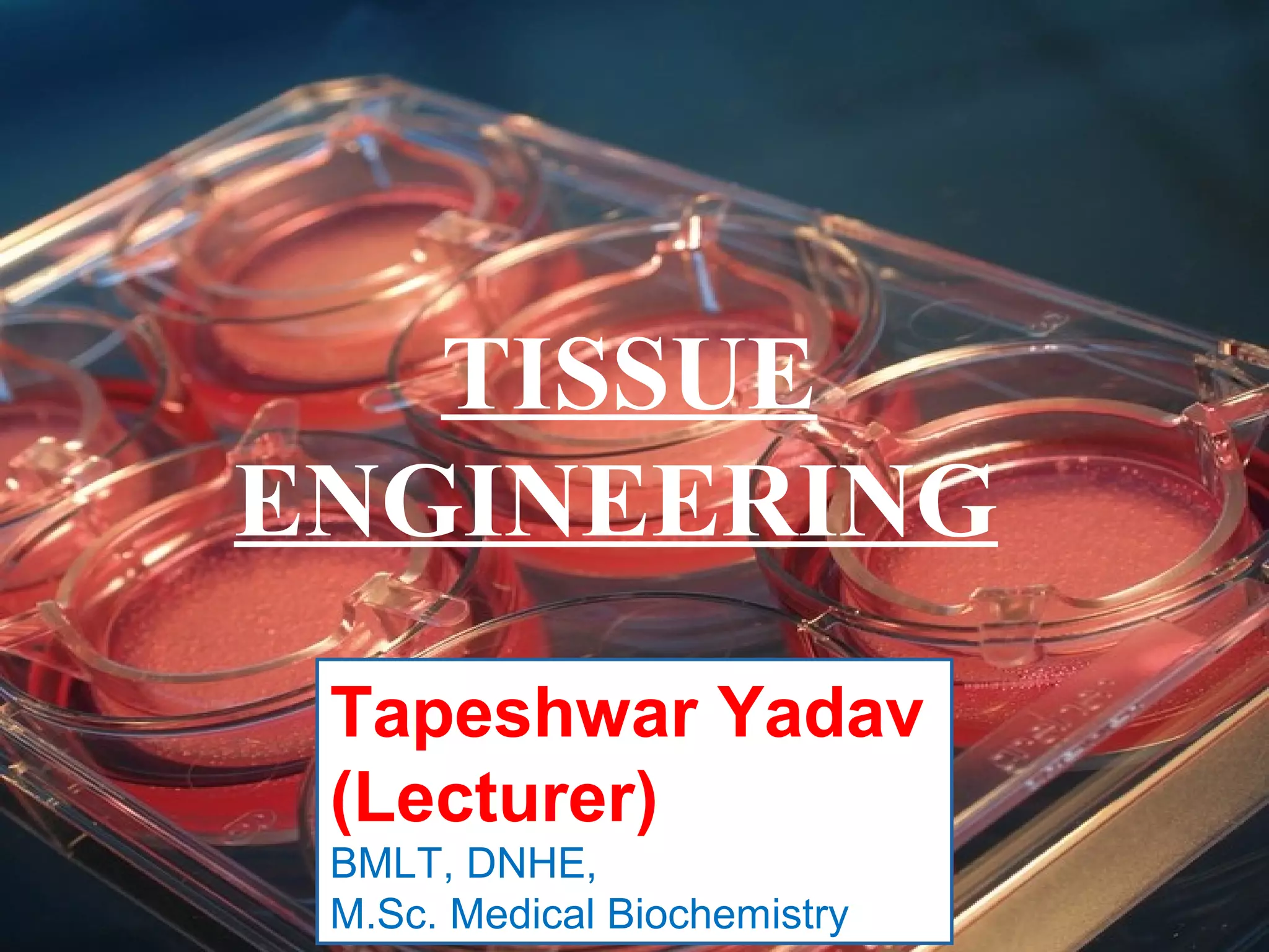 TISSUE
ENGINEERING
Tapeshwar Yadav
(Lecturer)
BMLT, DNHE,
M.Sc. Medical Biochemistry
 