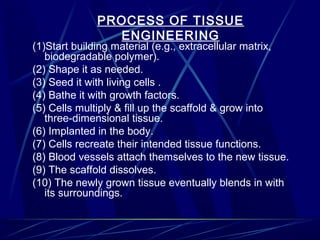 PROCESS OF TISSUE
ENGINEERING
(1)Start building material (e.g., extracellular matrix,
biodegradable polymer).
(2) Shape it as needed.
(3) Seed it with living cells .
(4) Bathe it with growth factors.
(5) Cells multiply & fill up the scaffold & grow into
three-dimensional tissue.
(6) Implanted in the body.
(7) Cells recreate their intended tissue functions.
(8) Blood vessels attach themselves to the new tissue.
(9) The scaffold dissolves.
(10) The newly grown tissue eventually blends in with
its surroundings.
 