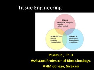 Tissue Engineering
P.Samuel, Ph.D
Assistant Professor of Biotechnology,
ANJA College, Sivakasi
 
