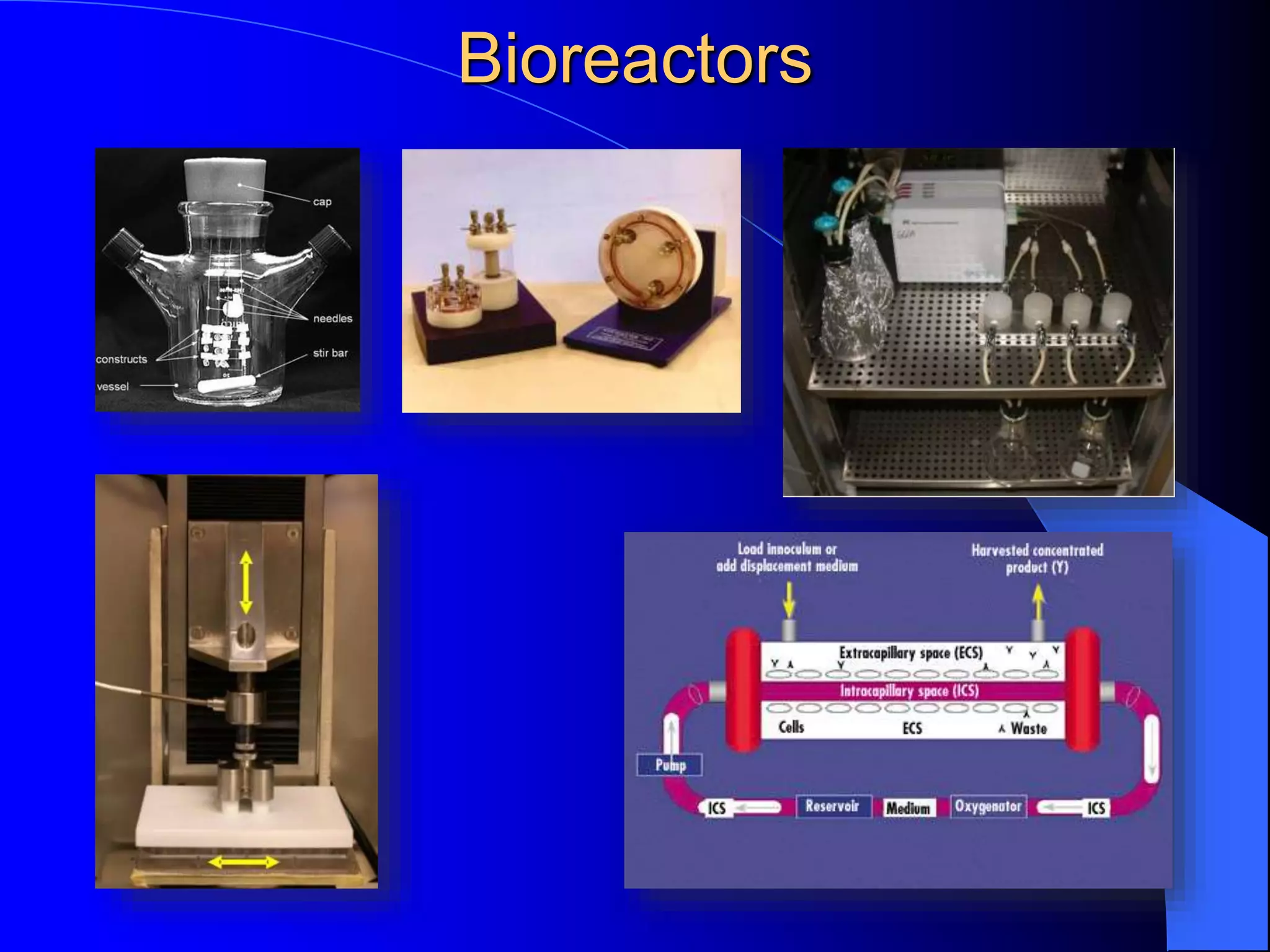 Bioreactors
 