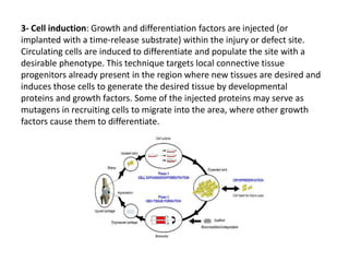 Tissue engineering | PPTX