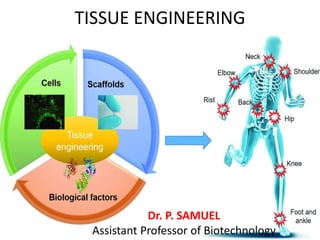 TISSUE ENGINEERING
Dr. P. SAMUEL
Assistant Professor of Biotechnology
 