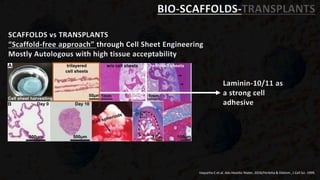 BIO-SCAFFOLDS-TRANSPLANTS
SCAFFOLDS vs TRANSPLANTS
“Scaffold-free approach” through Cell Sheet Engineering
Mostly Autologous with high tissue acceptability
Laminin-10/11 as
a strong cell
adhesive
Vaquette C et al. Adv Healthc Mater, 2018/Ferletta & Ekblom , J Cell Sci. 1999.
 