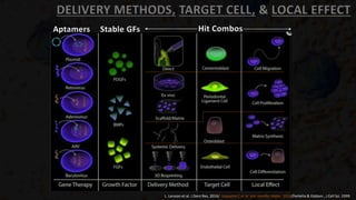 DELIVERY METHODS, TARGET CELL, & LOCAL EFFECT
L. Larsson et al. J Dent Res, 2016/ Vaquette C et al. Adv Healthc Mater, 2018/Ferletta & Ekblom , J Cell Sci. 1999.
Aptamers Stable GFs Hit Combos
 