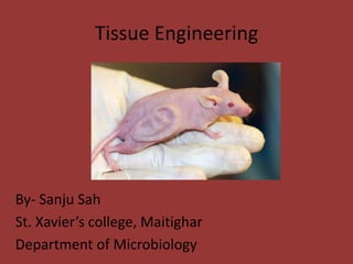 Tissue Engineering
By- Sanju Sah
St. Xavier’s college, Maitighar
Department of Microbiology
 