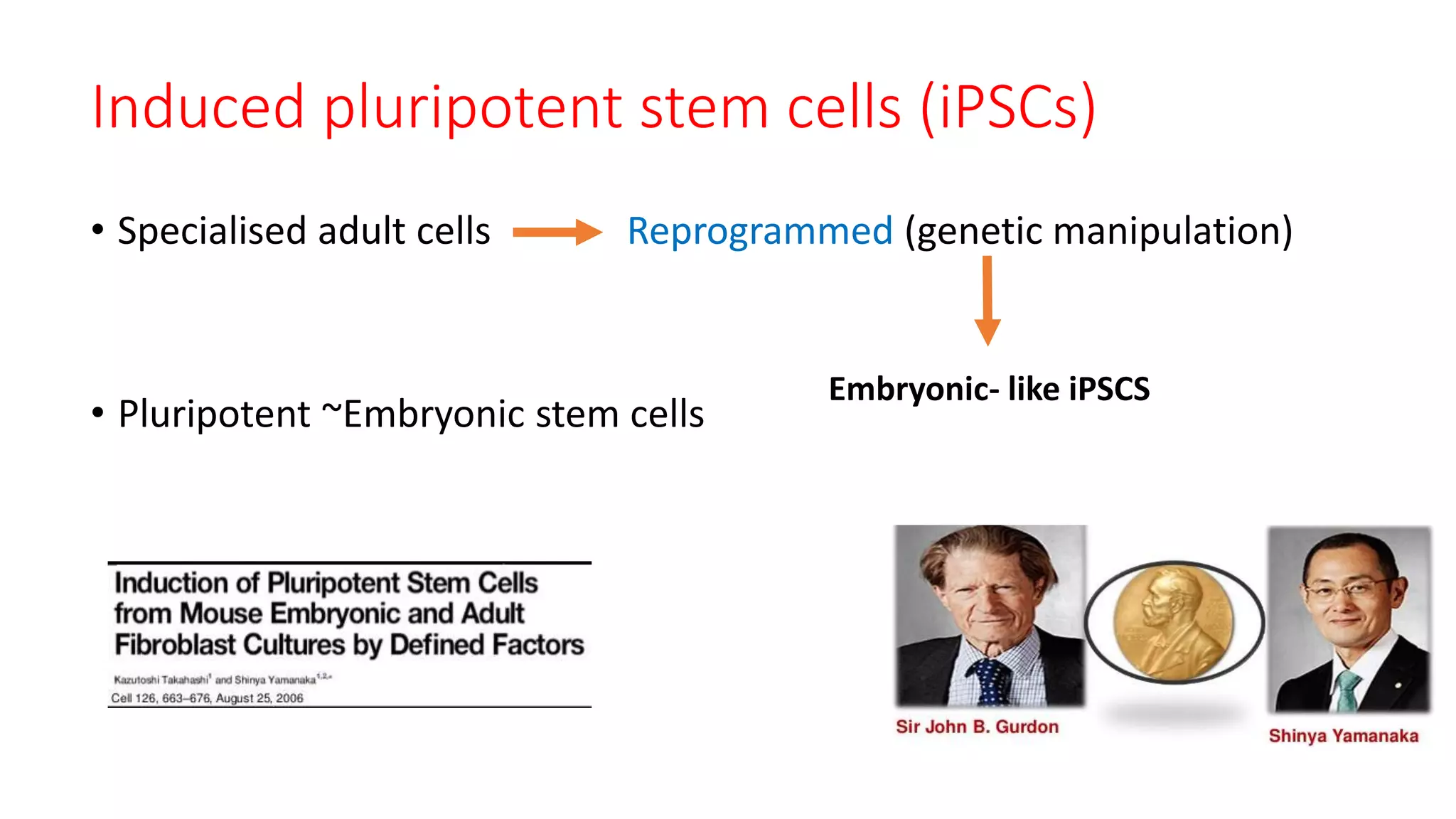 Induced pluripotent stem cells (iPSCs)
• Specialised adult cells Reprogrammed (genetic manipulation)
• Pluripotent ~Embryonic stem cells
Embryonic- like iPSCS
 