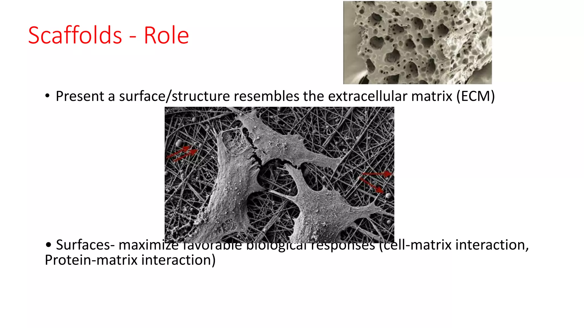 Scaffolds - Role
• Present a surface/structure resembles the extracellular matrix (ECM)
• Surfaces- maximize favorable biological responses (cell-matrix interaction,
Protein-matrix interaction)
 