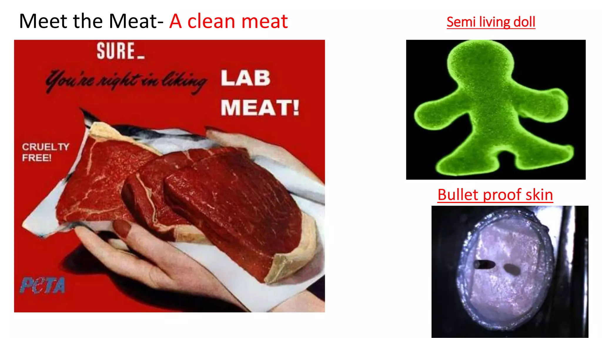 Semi living doll
Meet the Meat- A clean meat
Bullet proof skin
 