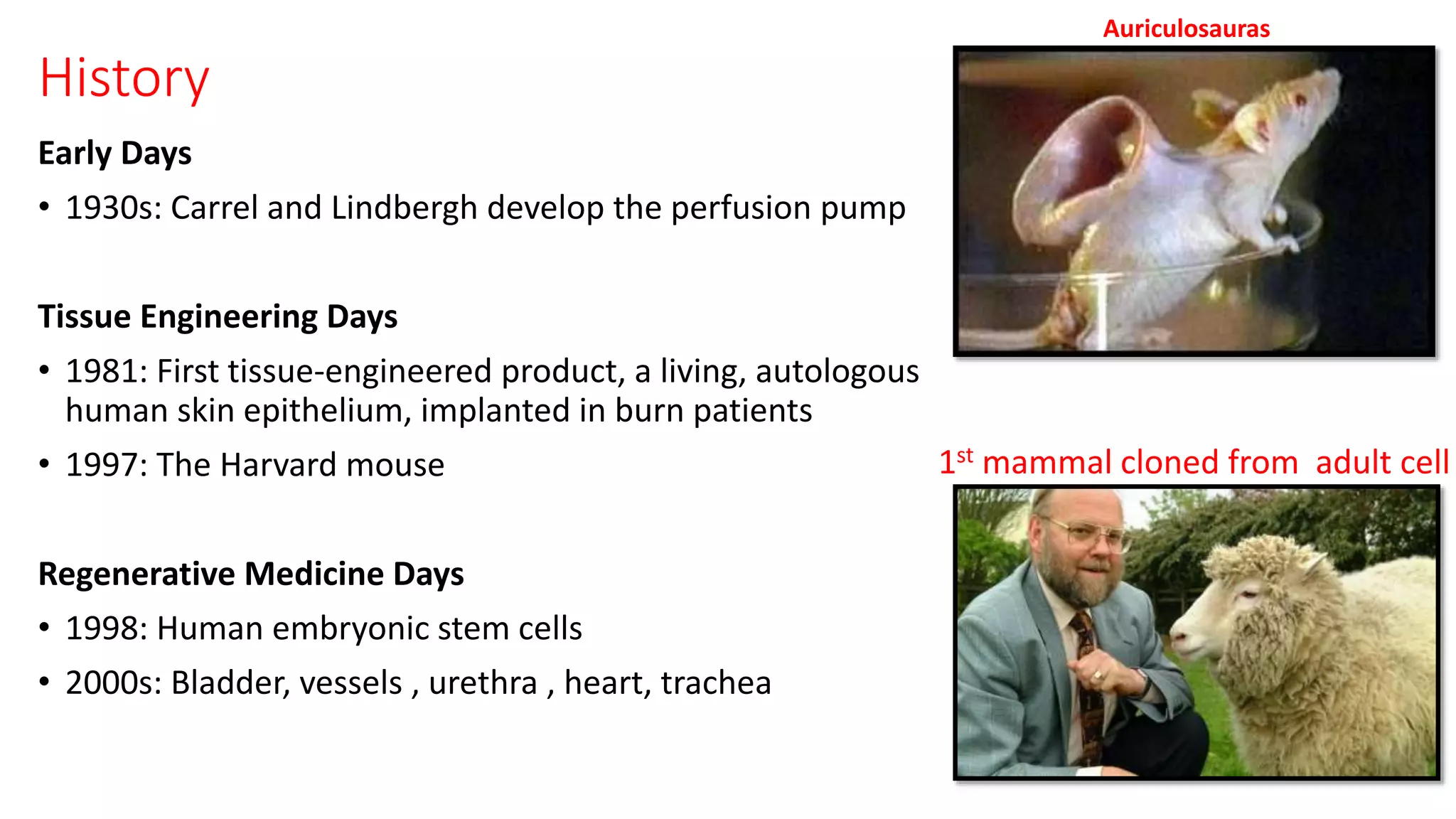 History
Early Days
• 1930s: Carrel and Lindbergh develop the perfusion pump
Tissue Engineering Days
• 1981: First tissue-engineered product, a living, autologous
human skin epithelium, implanted in burn patients
• 1997: The Harvard mouse
Regenerative Medicine Days
• 1998: Human embryonic stem cells
• 2000s: Bladder, vessels , urethra , heart, trachea
1st mammal cloned from adult cell
Auriculosauras
 