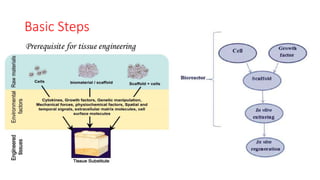 Tissue engineering and Regeneration | PPTX