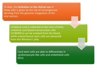 To date, the limitation to the clinical use of
these cells is given by the risk of tumorigenesis
deriving from the genomic integration of the
viral vectors.
Umbilical cord is collected at the time of birth;
umbilical cord blood mononuclear cells
(UCBMNCs) can be isolated from the blood,
while mesenchymal stem cells are extracted
from the Wharton's jelly.
Cord stem cells are able to differentiate in
cardiomyocyte-like cells and endothelial cells
(ECs)
 