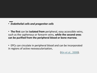 • Endothelial cells and progenitor cells
• The first can be isolated from peripheral, easy accessible veins,
such as the saphenous or forearm veins, while the second ones
can be purified from the peripheral blood or bone marrow.
• EPCs can circulate in peripheral blood and can be incorporated
in regions of active neovascularization,
(Xin et al., 2008).
 