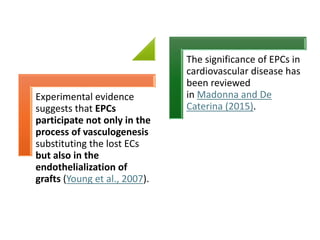 Experimental evidence
suggests that EPCs
participate not only in the
process of vasculogenesis
substituting the lost ECs
but also in the
endothelialization of
grafts (Young et al., 2007).
The significance of EPCs in
cardiovascular disease has
been reviewed
in Madonna and De
Caterina (2015).
 
