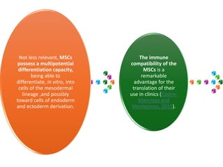 Not less relevant, MSCs
possess a multipotential
differentiation capacity,
being able to
differentiate, in vitro, into
cells of the mesodermal
lineage ,and possibly
toward cells of endoderm
and ectoderm derivation.
The immune
compatibility of the
MSCs is a
remarkable
advantage for the
translation of their
use in clinics (Castro-
Manrreza and
Montesinos, 2015).
 