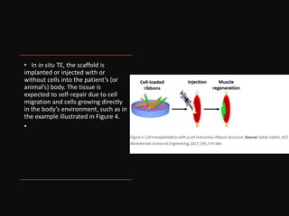 • In in situ TE, the scaffold is
implanted or injected with or
without cells into the patient’s (or
animal’s) body. The tissue is
expected to self-repair due to cell
migration and cells growing directly
in the body’s environment, such as in
the example illustrated in Figure 4.
•
 