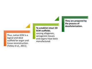 Thus, native ECM is a
logical and ideal
scaffold for organ and
tissue reconstruction.
(Tottey et al., 2011).
To establish intact 3D
ECM scaffolds,
varying allogeneic,
xenogeneic tissues
and organs have been
manufactured.
They are prepared by
the process of
decellularization.
 