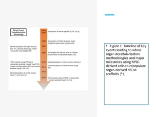 • Figure 1. Timeline of key
events leading to whole
organ decellularization
methodologies and major
milestones using hPSC-
derived cells to repopulate
organ-derived dECM
scaffolds (*).
 