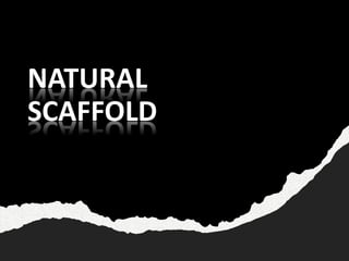 NATURAL
SCAFFOLD
 