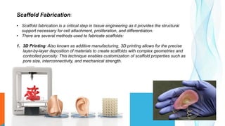 Scaffold Fabrication:
• Scaffold fabrication is a critical step in tissue engineering as it provides the structural
support necessary for cell attachment, proliferation, and differentiation.
• There are several methods used to fabricate scaffolds:
1. 3D Printing: Also known as additive manufacturing, 3D printing allows for the precise
layer-by-layer deposition of materials to create scaffolds with complex geometries and
controlled porosity. This technique enables customization of scaffold properties such as
pore size, interconnectivity, and mechanical strength.
 