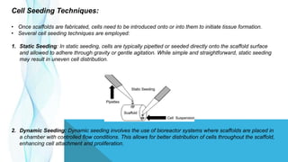 Cell Seeding Techniques:
• Once scaffolds are fabricated, cells need to be introduced onto or into them to initiate tissue formation.
• Several cell seeding techniques are employed:
1. Static Seeding: In static seeding, cells are typically pipetted or seeded directly onto the scaffold surface
and allowed to adhere through gravity or gentle agitation. While simple and straightforward, static seeding
may result in uneven cell distribution.
2. Dynamic Seeding: Dynamic seeding involves the use of bioreactor systems where scaffolds are placed in
a chamber with controlled flow conditions. This allows for better distribution of cells throughout the scaffold,
enhancing cell attachment and proliferation.
 