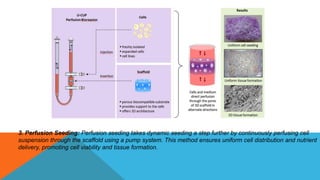 3. Perfusion Seeding: Perfusion seeding takes dynamic seeding a step further by continuously perfusing cell
suspension through the scaffold using a pump system. This method ensures uniform cell distribution and nutrient
delivery, promoting cell viability and tissue formation.
 