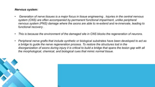 Nervous system:
• Generation of nerve tissues is a major focus in tissue engineering . Injuries in the central nervous
system (CNS) are often accompanied by permanent functional impairment, unlike peripheral
nervous system (PNS) damage where the axons are able to re-extend and re-innervate, leading to
functional recovery .
• This is because the environment of the damaged site in CNS blocks the regeneration of neurons.
• Peripheral nerve grafts that include synthetic or biological substrates have been developed to act as
a bridge to guide the nerve regeneration process. To restore the structures lost in the
disorganization of axons during injury it is critical to build a bridge that spans the lesion gap with all
the morphological, chemical, and biological cues that mimic normal tissue.
 
