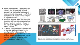 • Tissue engineering is a young field that
utilizes cells, biomaterials, physical
signals (e.g., mechanical stimulation),
biochemical signals (e.g., growth factors
and cytokines), and their combinations,
to engineer tissues.
• The most common application of tissue
engineering is to create tissues that can
be used to repair or replace tissues in
the body suffering partial or complete
loss of function.
• However, tissue engineering has started
to find new applications such as the
development of extracorporeal life
support units (e.g., bioartificial liver and
kidney), in vitro disease models, tissues
for drug screening, smart diagnosis,
and personalized medicine.
 