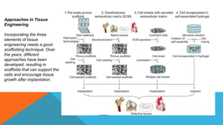 Tissue engineering......................pptx