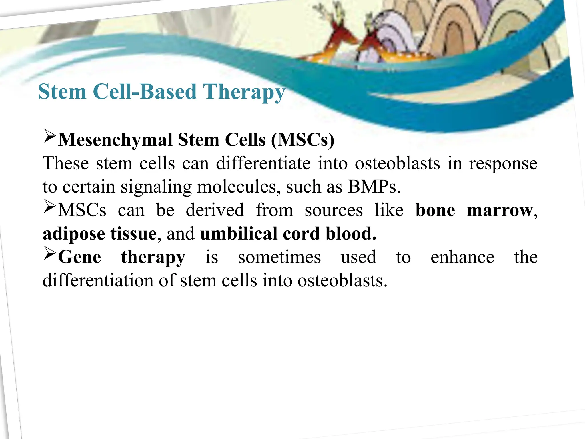 Mesenchymal Stem Cells (MSCs)
These stem cells can differentiate into osteoblasts in response
to certain signaling molecules, such as BMPs.
MSCs can be derived from sources like bone marrow,
adipose tissue, and umbilical cord blood.
Gene therapy is sometimes used to enhance the
differentiation of stem cells into osteoblasts.
Stem Cell-Based Therapy
 