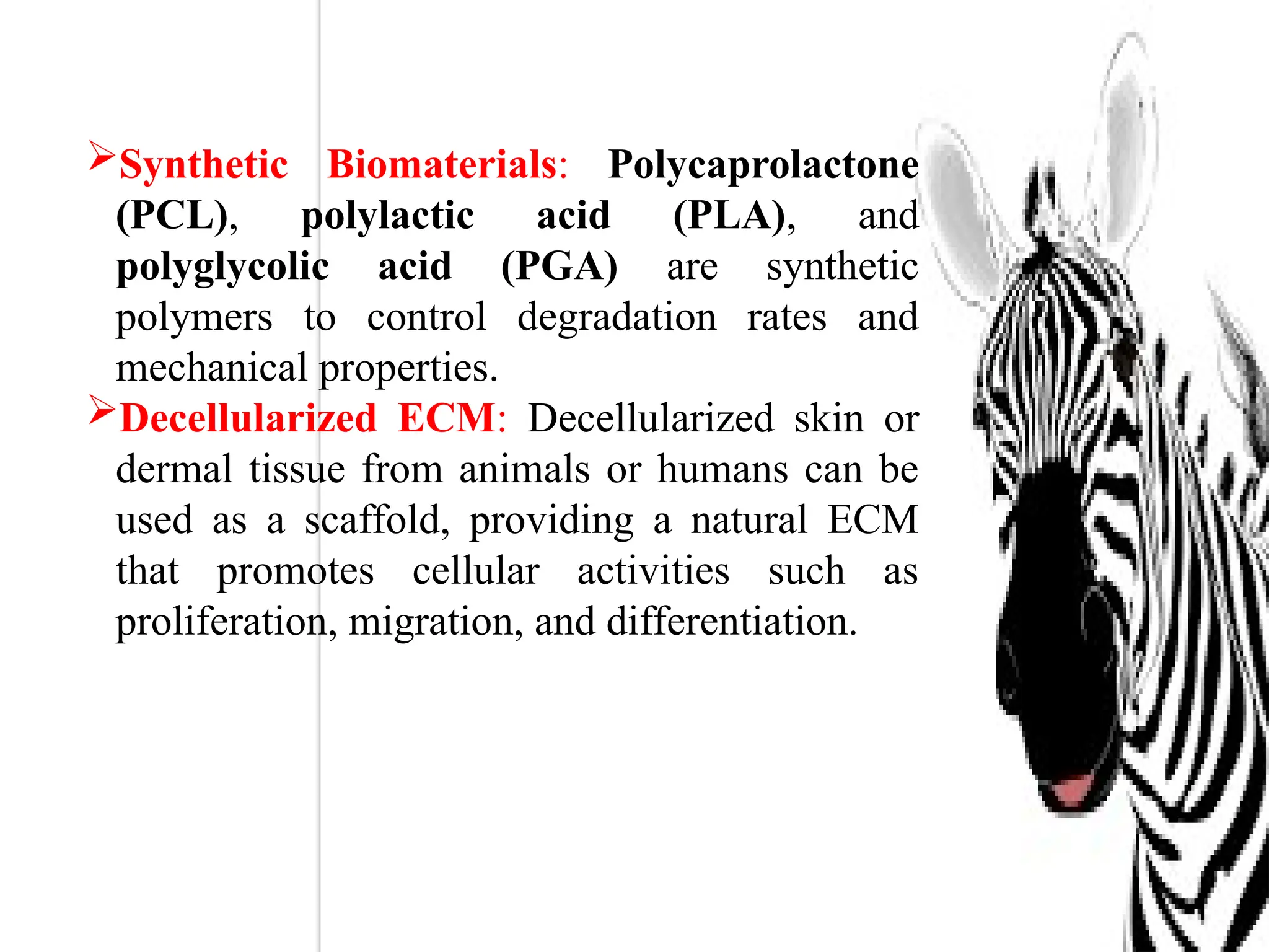 Synthetic Biomaterials: Polycaprolactone
(PCL), polylactic acid (PLA), and
polyglycolic acid (PGA) are synthetic
polymers to control degradation rates and
mechanical properties.
Decellularized ECM: Decellularized skin or
dermal tissue from animals or humans can be
used as a scaffold, providing a natural ECM
that promotes cellular activities such as
proliferation, migration, and differentiation.
 
