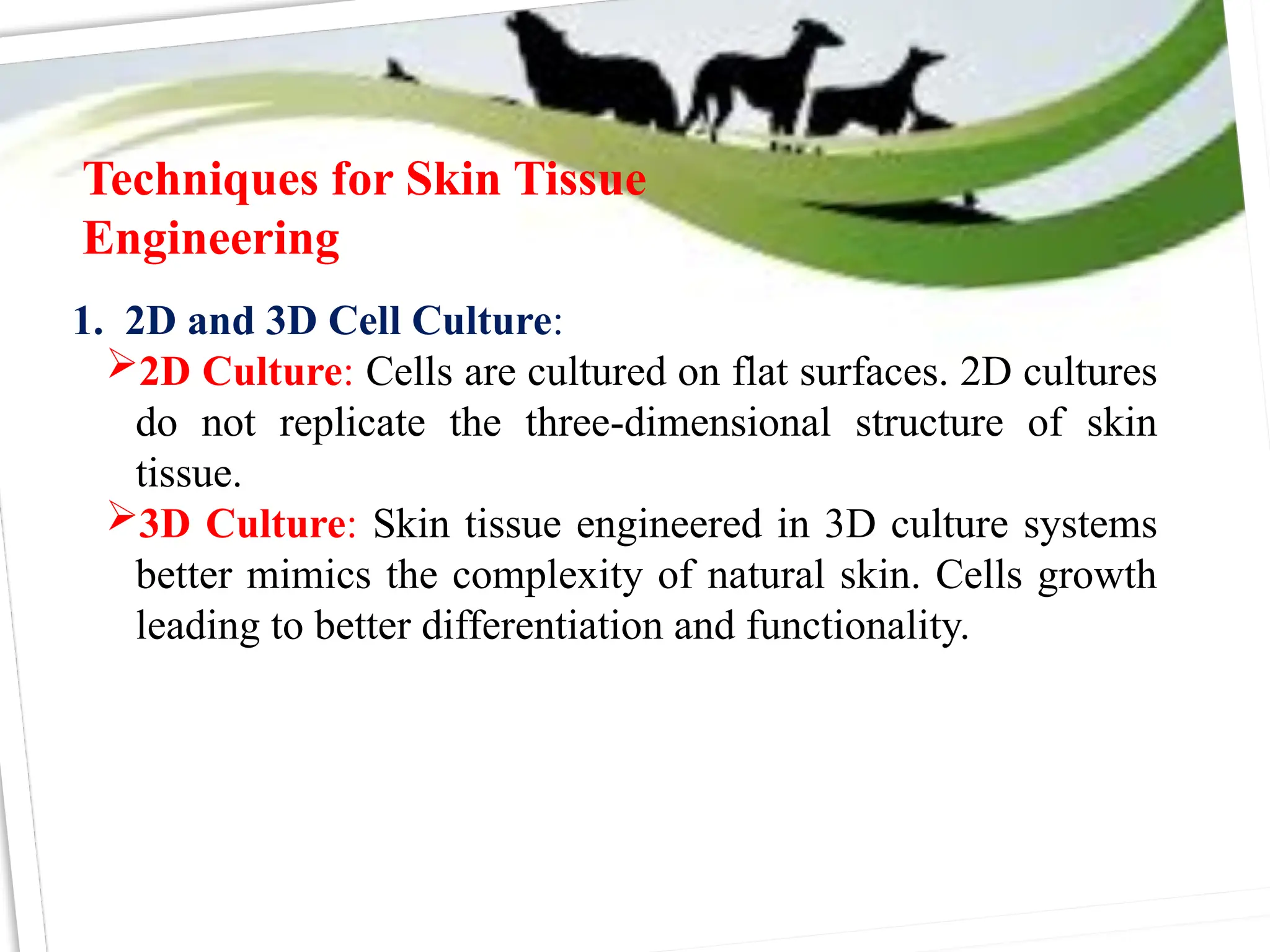 Techniques for Skin Tissue
Engineering
1. 2D and 3D Cell Culture:
2D Culture: Cells are cultured on flat surfaces. 2D cultures
do not replicate the three-dimensional structure of skin
tissue.
3D Culture: Skin tissue engineered in 3D culture systems
better mimics the complexity of natural skin. Cells growth
leading to better differentiation and functionality.
 