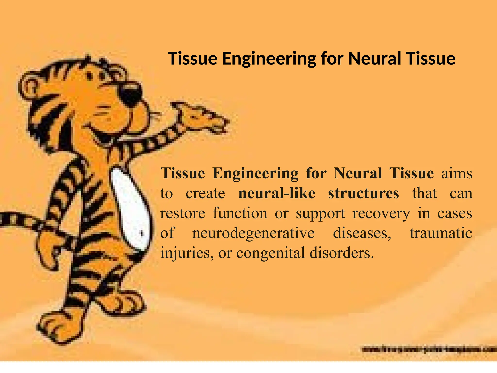 Tissue Engineering for Neural Tissue aims
to create neural-like structures that can
restore function or support recovery in cases
of neurodegenerative diseases, traumatic
injuries, or congenital disorders.
Tissue Engineering for Neural Tissue
 