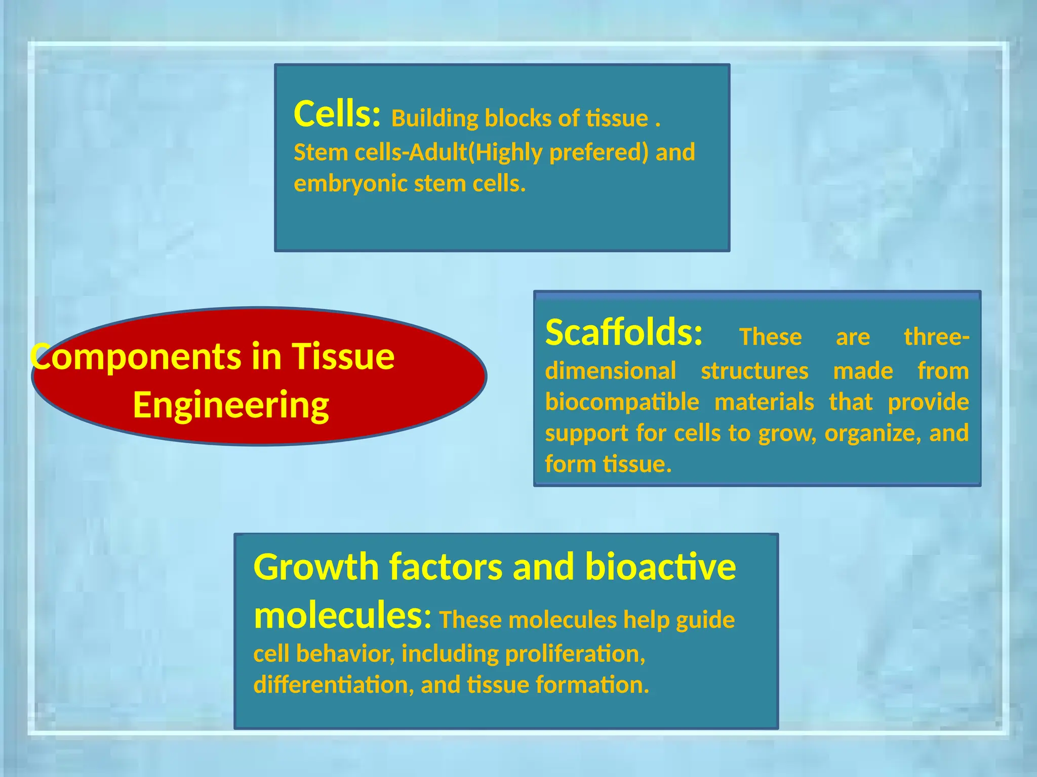 Components in Tissue
Engineering
Cells: Building blocks of tissue .
Stem cells-Adult(Highly prefered) and
embryonic stem cells.
Scaffolds: These are three-
dimensional structures made from
biocompatible materials that provide
support for cells to grow, organize, and
form tissue.
Growth factors and bioactive
molecules:These molecules help guide
cell behavior, including proliferation,
differentiation, and tissue formation.
 