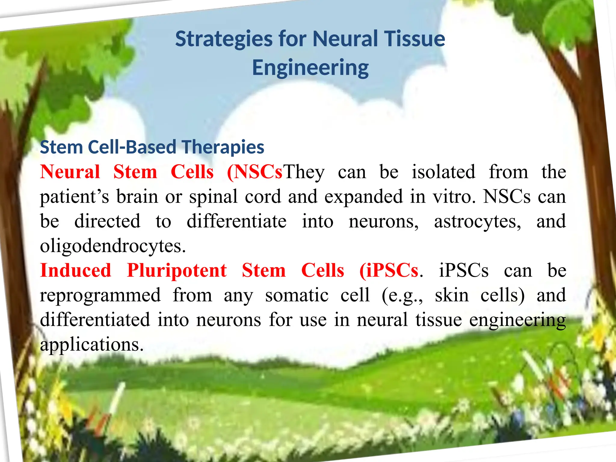 Strategies for Neural Tissue
Engineering
Stem Cell-Based Therapies
Neural Stem Cells (NSCsThey can be isolated from the
patient’s brain or spinal cord and expanded in vitro. NSCs can
be directed to differentiate into neurons, astrocytes, and
oligodendrocytes.
Induced Pluripotent Stem Cells (iPSCs. iPSCs can be
reprogrammed from any somatic cell (e.g., skin cells) and
differentiated into neurons for use in neural tissue engineering
applications.
 