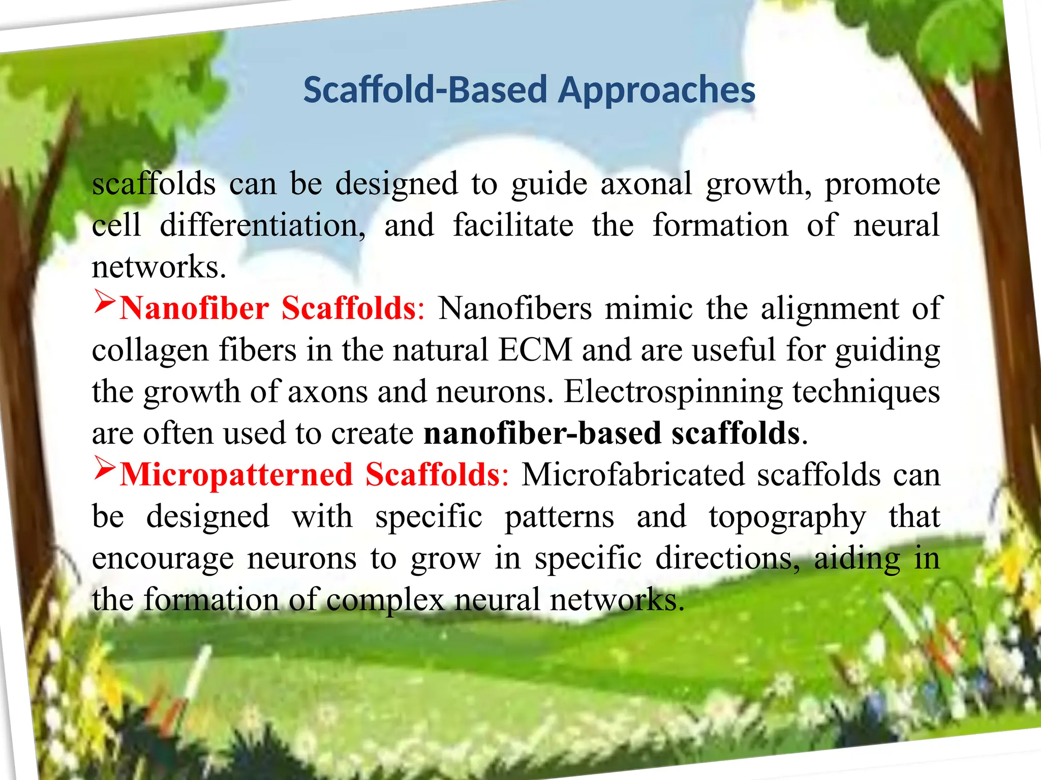 scaffolds can be designed to guide axonal growth, promote
cell differentiation, and facilitate the formation of neural
networks.
Nanofiber Scaffolds: Nanofibers mimic the alignment of
collagen fibers in the natural ECM and are useful for guiding
the growth of axons and neurons. Electrospinning techniques
are often used to create nanofiber-based scaffolds.
Micropatterned Scaffolds: Microfabricated scaffolds can
be designed with specific patterns and topography that
encourage neurons to grow in specific directions, aiding in
the formation of complex neural networks.
Scaffold-Based Approaches
 