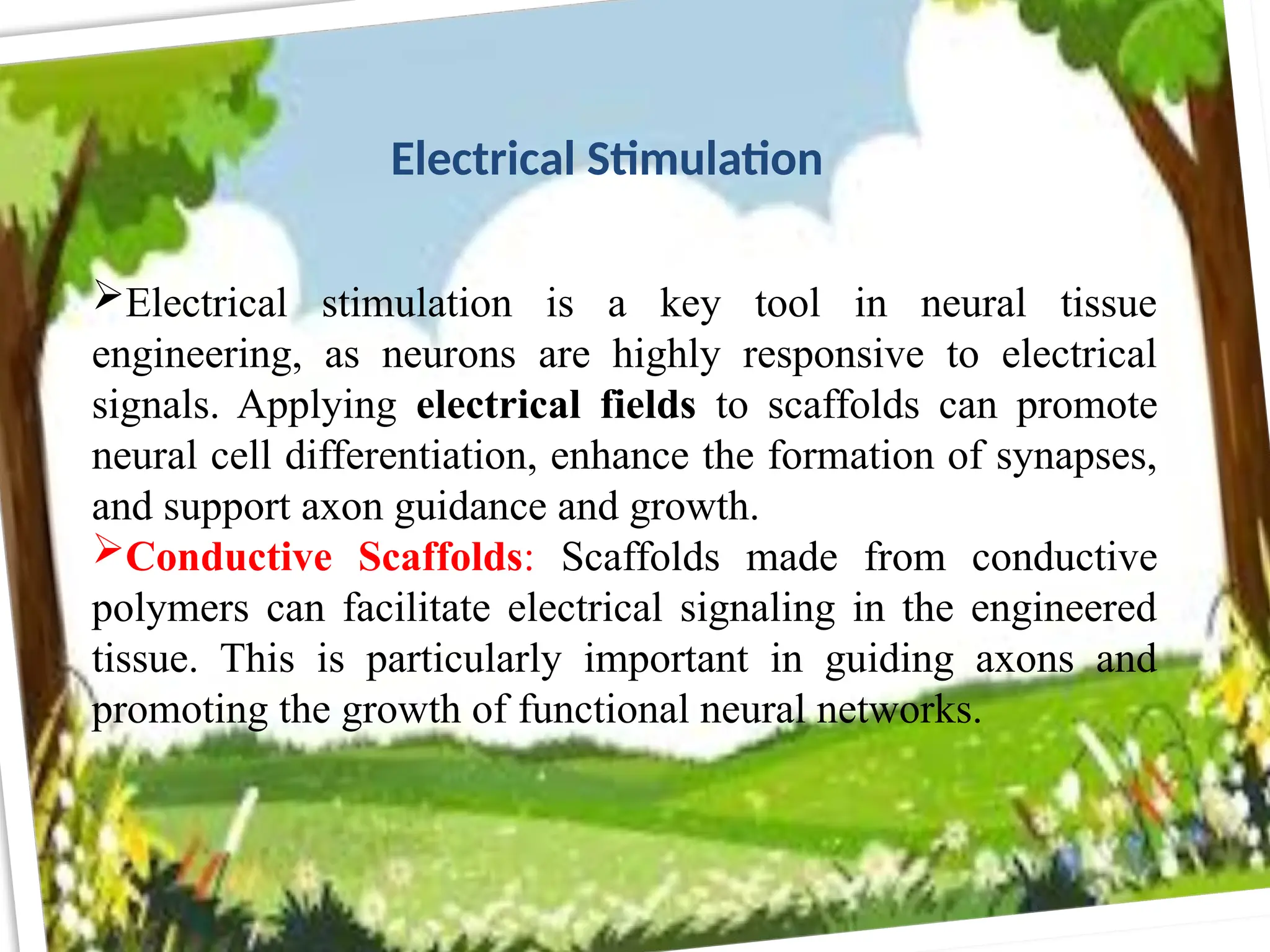 Electrical stimulation is a key tool in neural tissue
engineering, as neurons are highly responsive to electrical
signals. Applying electrical fields to scaffolds can promote
neural cell differentiation, enhance the formation of synapses,
and support axon guidance and growth.
Conductive Scaffolds: Scaffolds made from conductive
polymers can facilitate electrical signaling in the engineered
tissue. This is particularly important in guiding axons and
promoting the growth of functional neural networks.
Electrical Stimulation
 