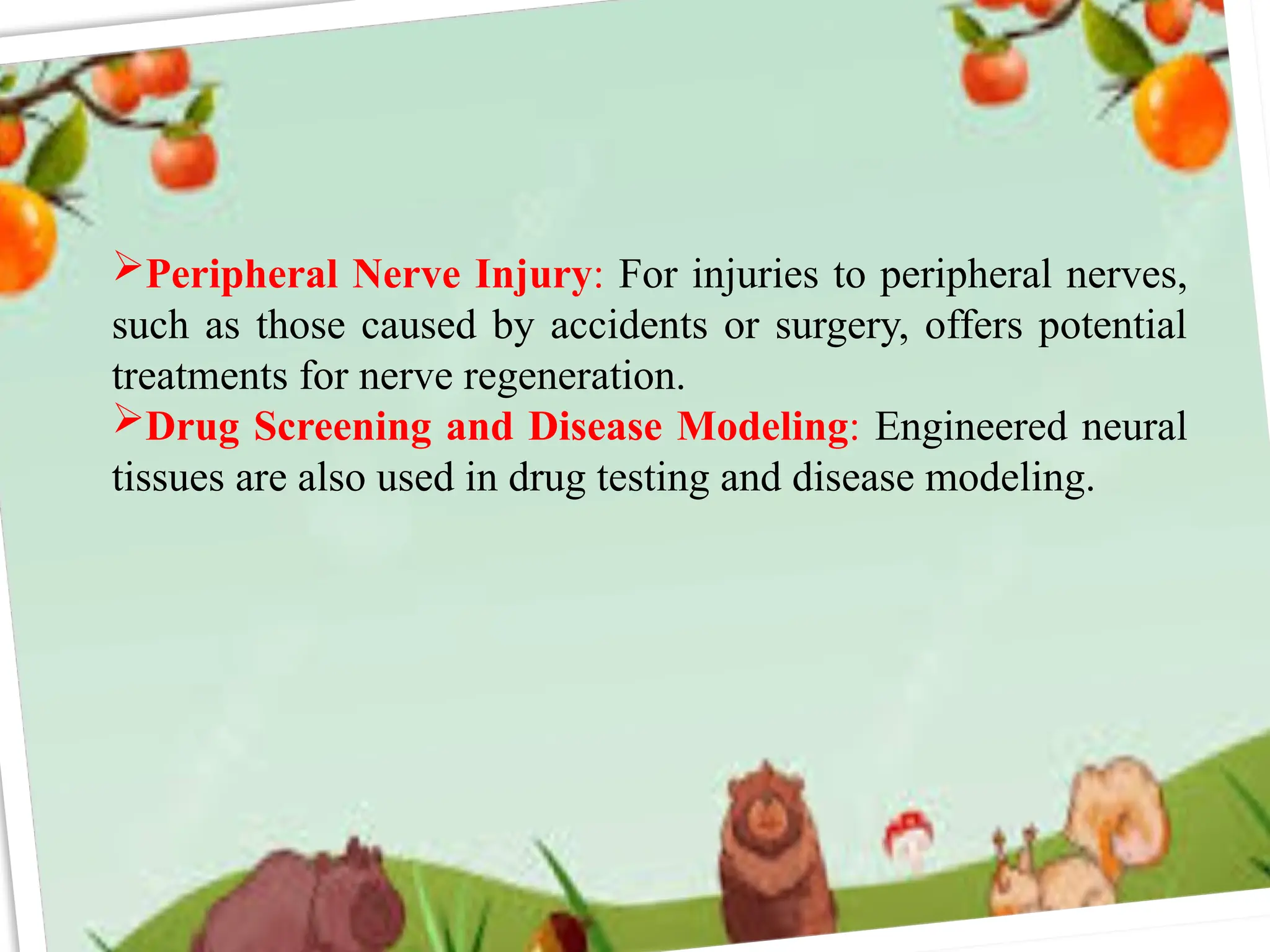 Peripheral Nerve Injury: For injuries to peripheral nerves,
such as those caused by accidents or surgery, offers potential
treatments for nerve regeneration.
Drug Screening and Disease Modeling: Engineered neural
tissues are also used in drug testing and disease modeling.
 