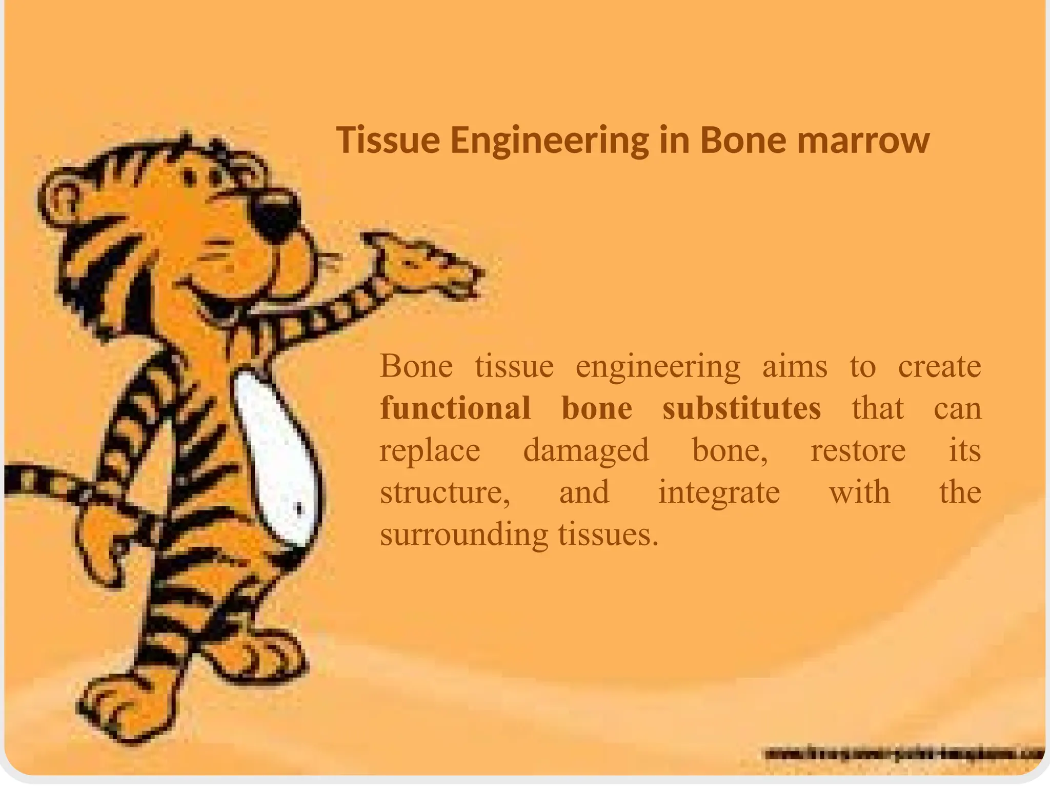 Tissue Engineering in Bone marrow
Bone tissue engineering aims to create
functional bone substitutes that can
replace damaged bone, restore its
structure, and integrate with the
surrounding tissues.
 
