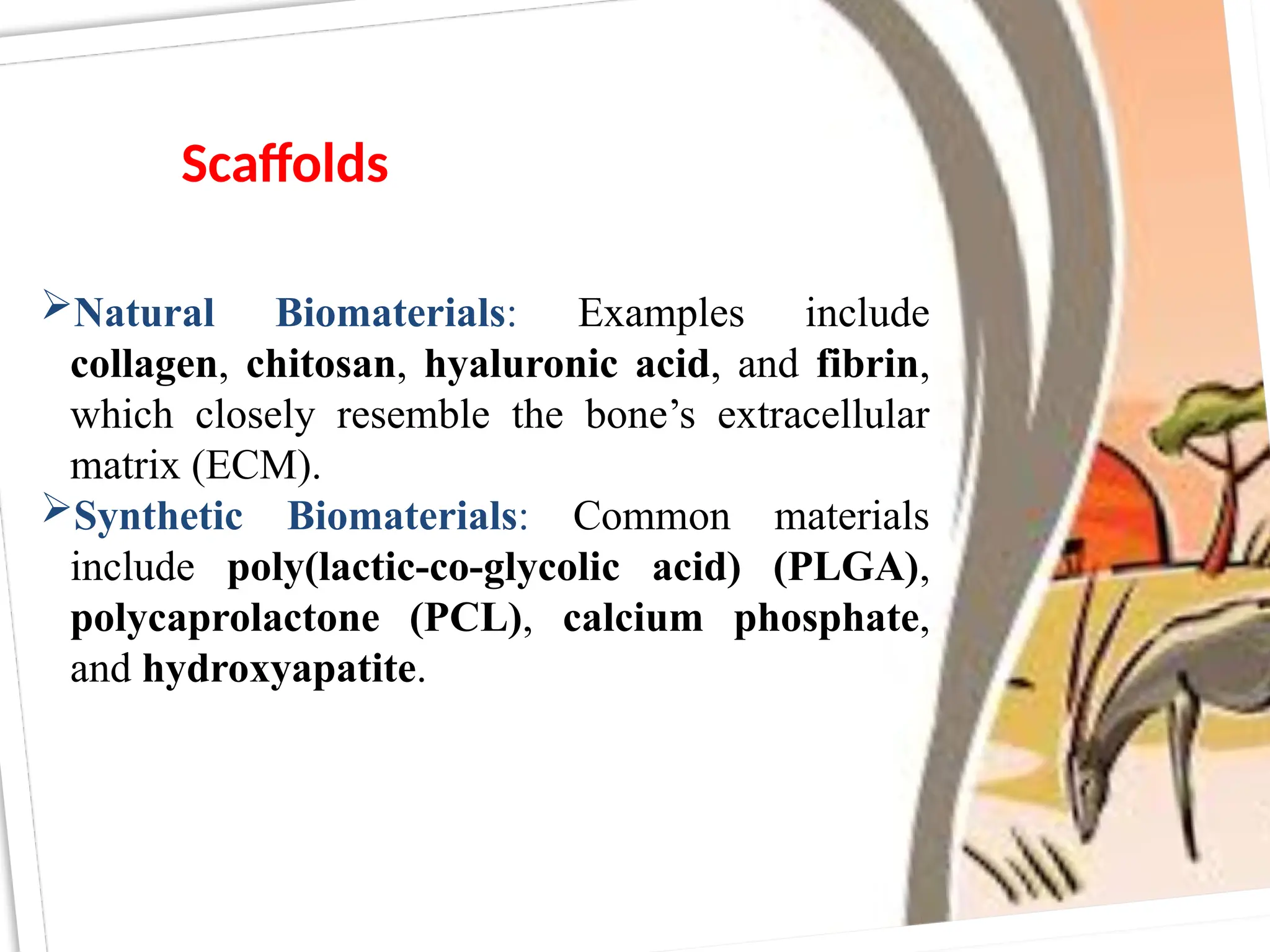 Scaffolds
Natural Biomaterials: Examples include
collagen, chitosan, hyaluronic acid, and fibrin,
which closely resemble the bone’s extracellular
matrix (ECM).
Synthetic Biomaterials: Common materials
include poly(lactic-co-glycolic acid) (PLGA),
polycaprolactone (PCL), calcium phosphate,
and hydroxyapatite.
 