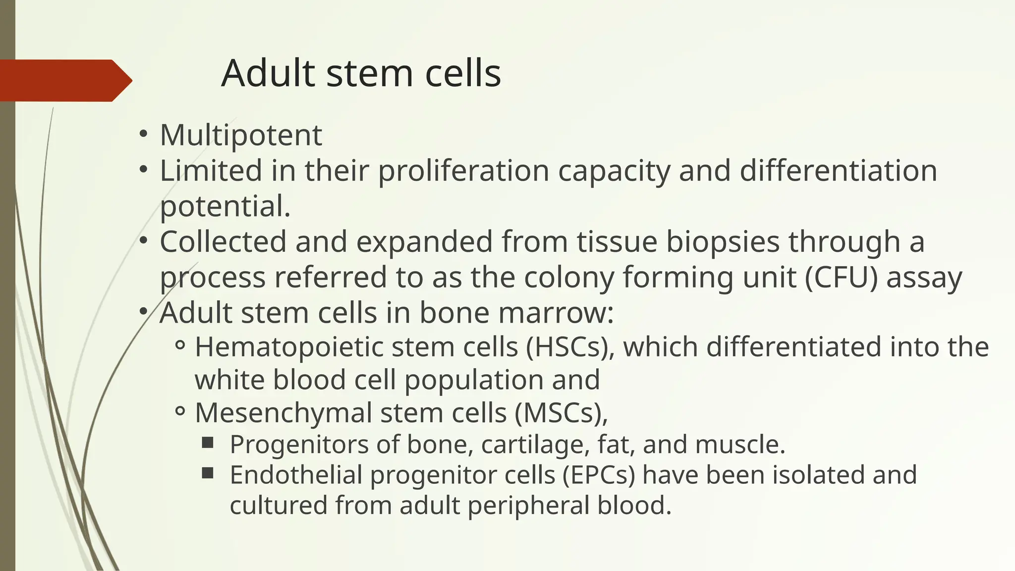 Adult stem cells
• Multipotent
• Limited in their proliferation capacity and differentiation
potential.
• Collected and expanded from tissue biopsies through a
process referred to as the colony forming unit (CFU) assay
• Adult stem cells in bone marrow:
⚬Hematopoietic stem cells (HSCs), which differentiated into the
white blood cell population and
⚬Mesenchymal stem cells (MSCs),
￭ Progenitors of bone, cartilage, fat, and muscle.
￭ Endothelial progenitor cells (EPCs) have been isolated and
cultured from adult peripheral blood.
 